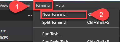 New Terminal